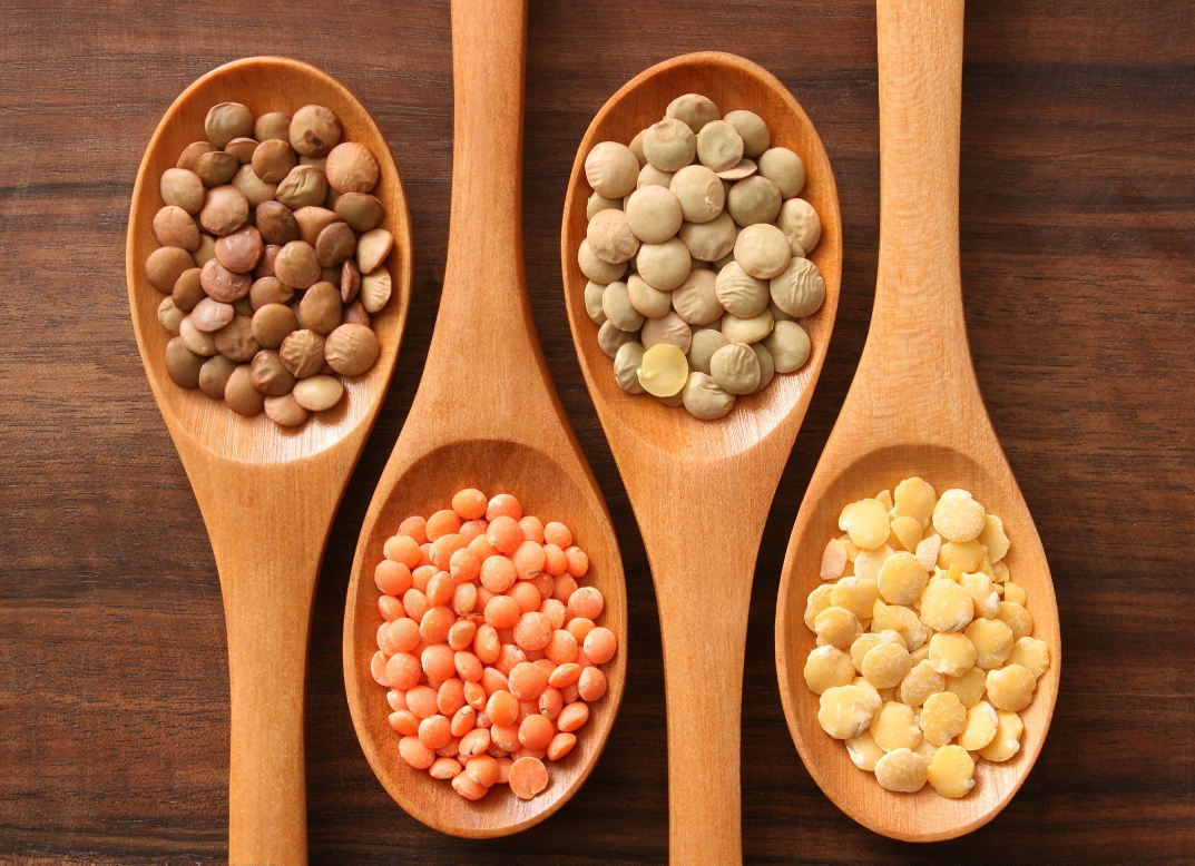 Royal Wisco Corp. Crimson Lentil