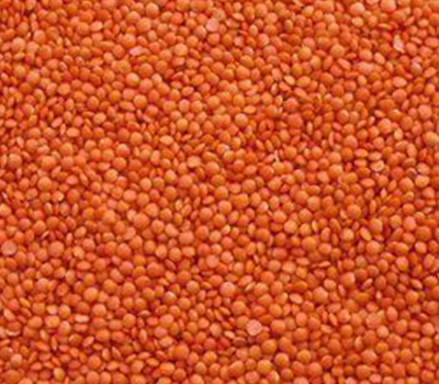 MEHSOM Corp Whole Red Lentil (Crimson Lentils)