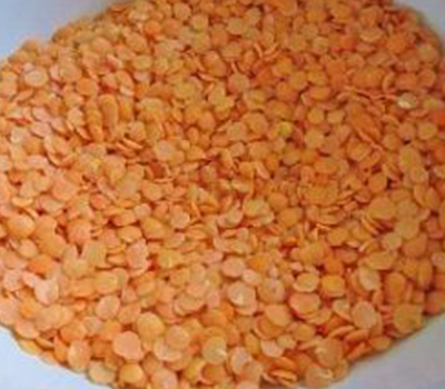 MEHSOM Corp Split Red Lentils