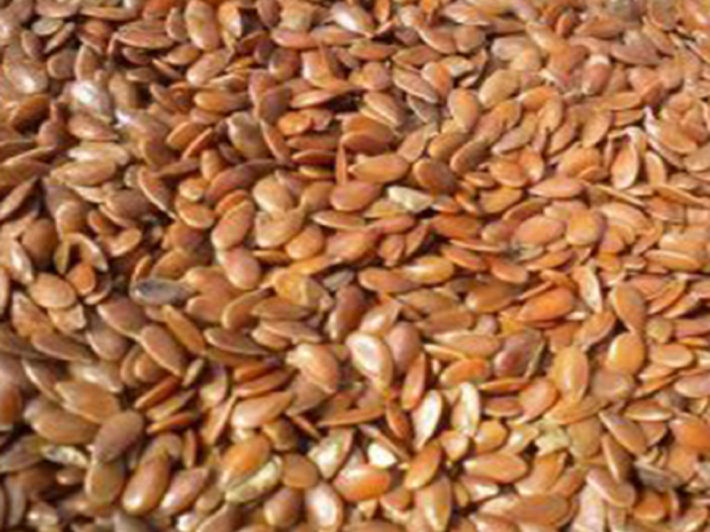 MEHSOM Corp Small Green Lentils (Eston)