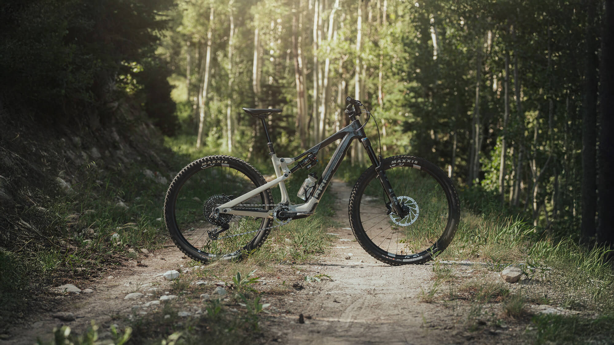 Ari Bikes Nebo Peak