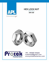 PROTEK FASTENERS STAINLESS STEEL HEX CHECK NUTS (THINN NUTS)