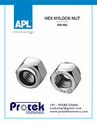 PROTEK FASTENERS STAINLESS STEEL NYLOCK NUTS