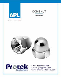PROTEK FASTENERS STAINLESS STEEL DOM NUTS