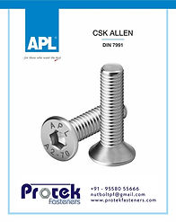 PROTEK FASTENERS STAINLESS STEEL ALLEN CSK SCREW