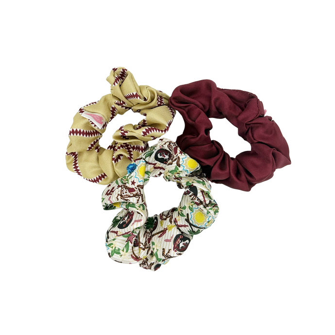 Florida State Seminoles Scrunchie Set