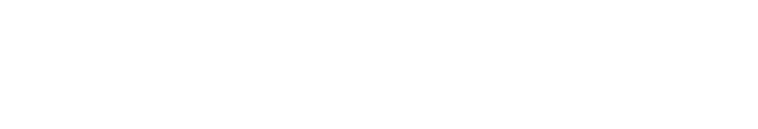 Bafra Industries S.A.E. logo
