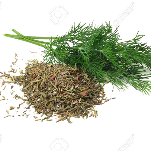 Dill