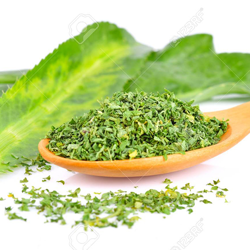 Cilantro
