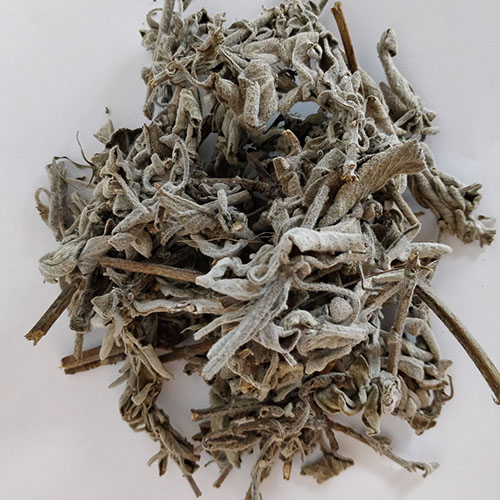 Sage