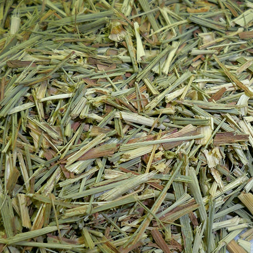 Lemon Grass