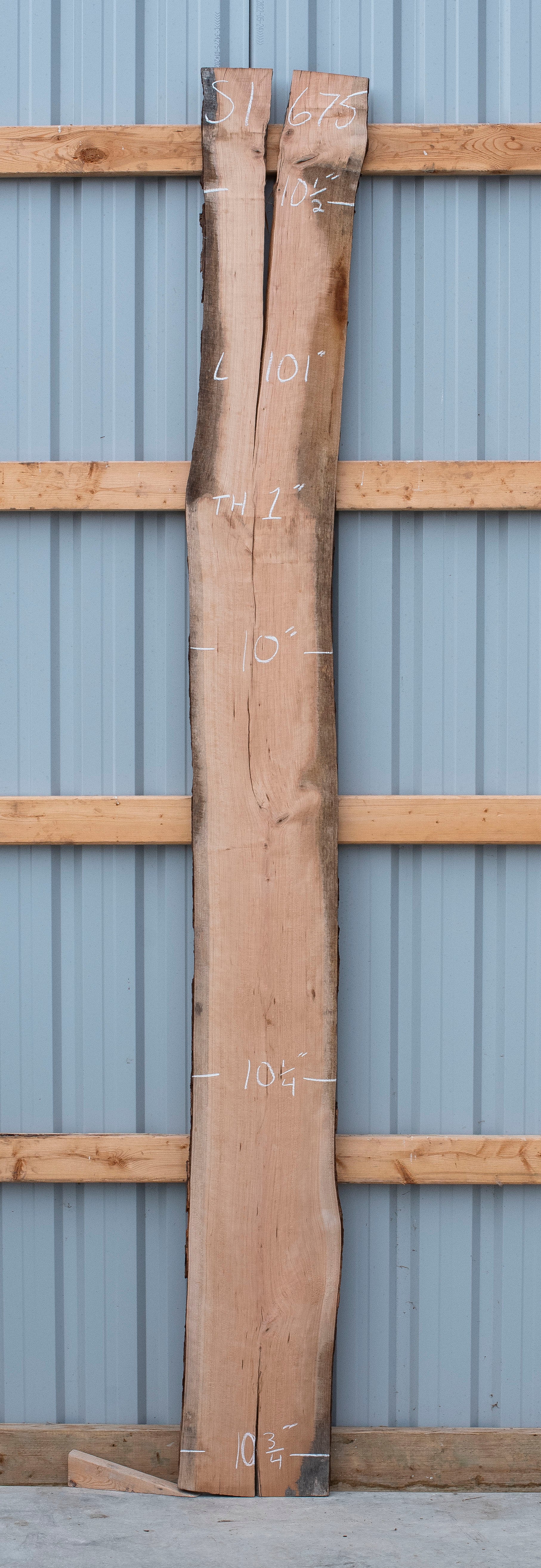 EverWoods Black Cherry - S1675