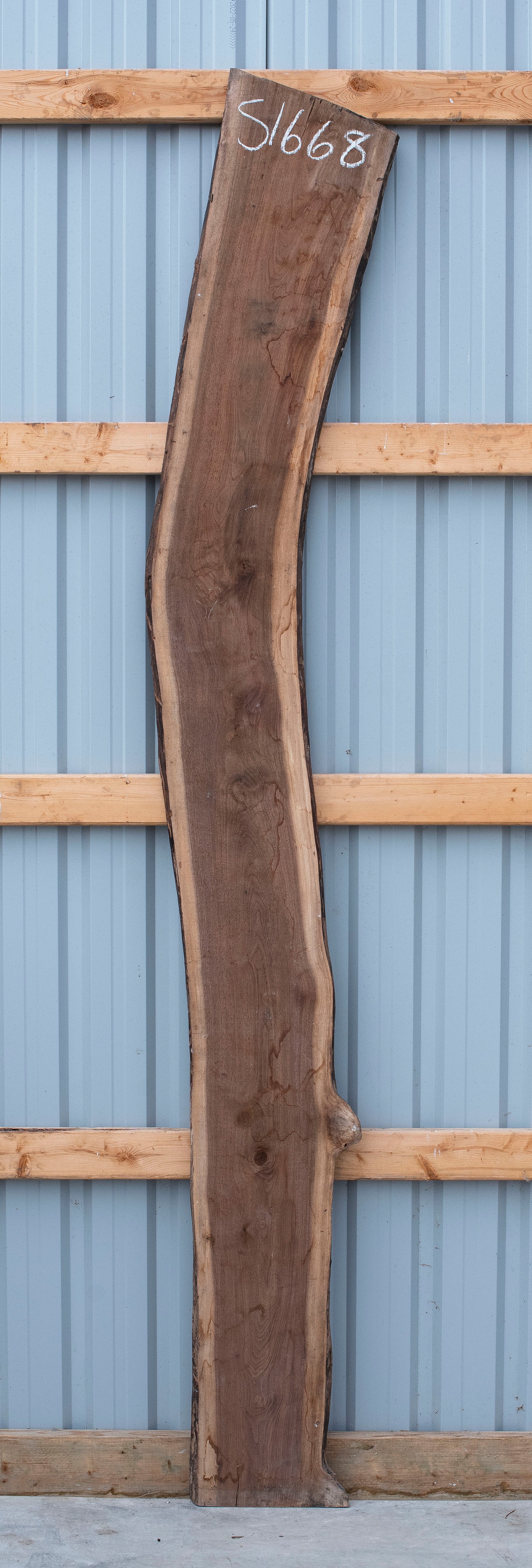 EverWoods Black Walnut - S1668
