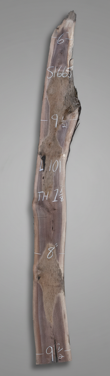 EverWoods Black Walnut - S1665