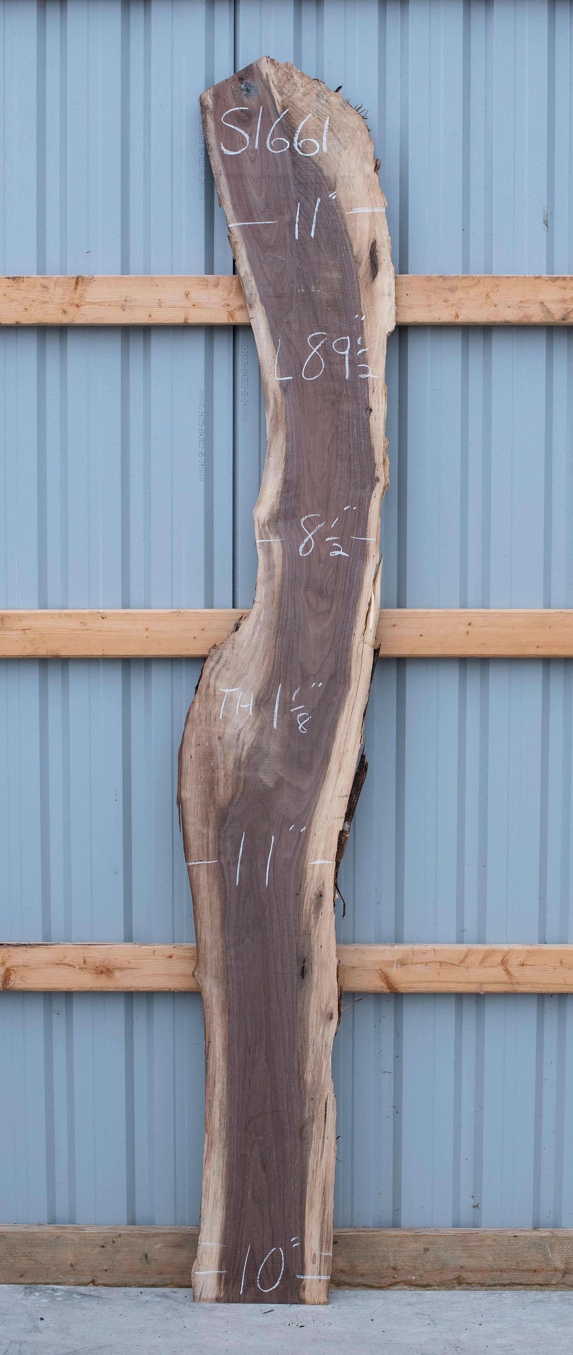 Black Walnut - S1661