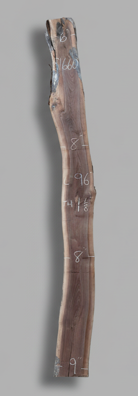 Black Walnut - S1660