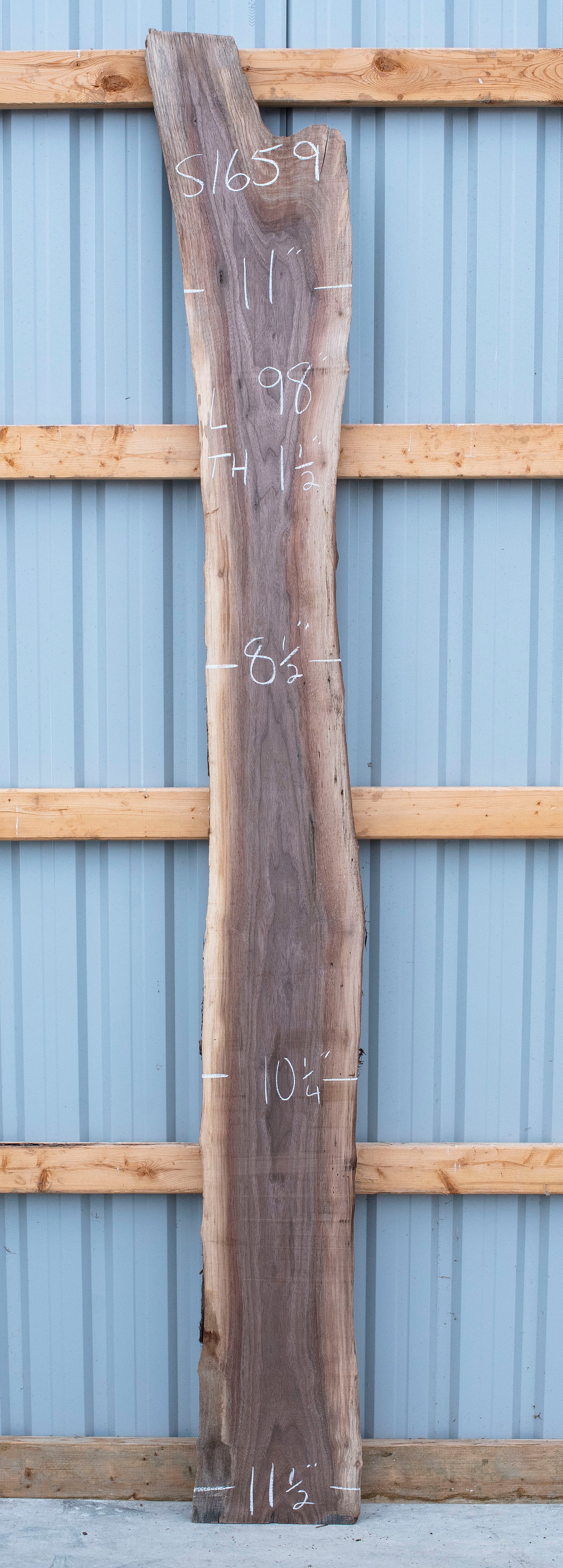 Black Walnut - S1659