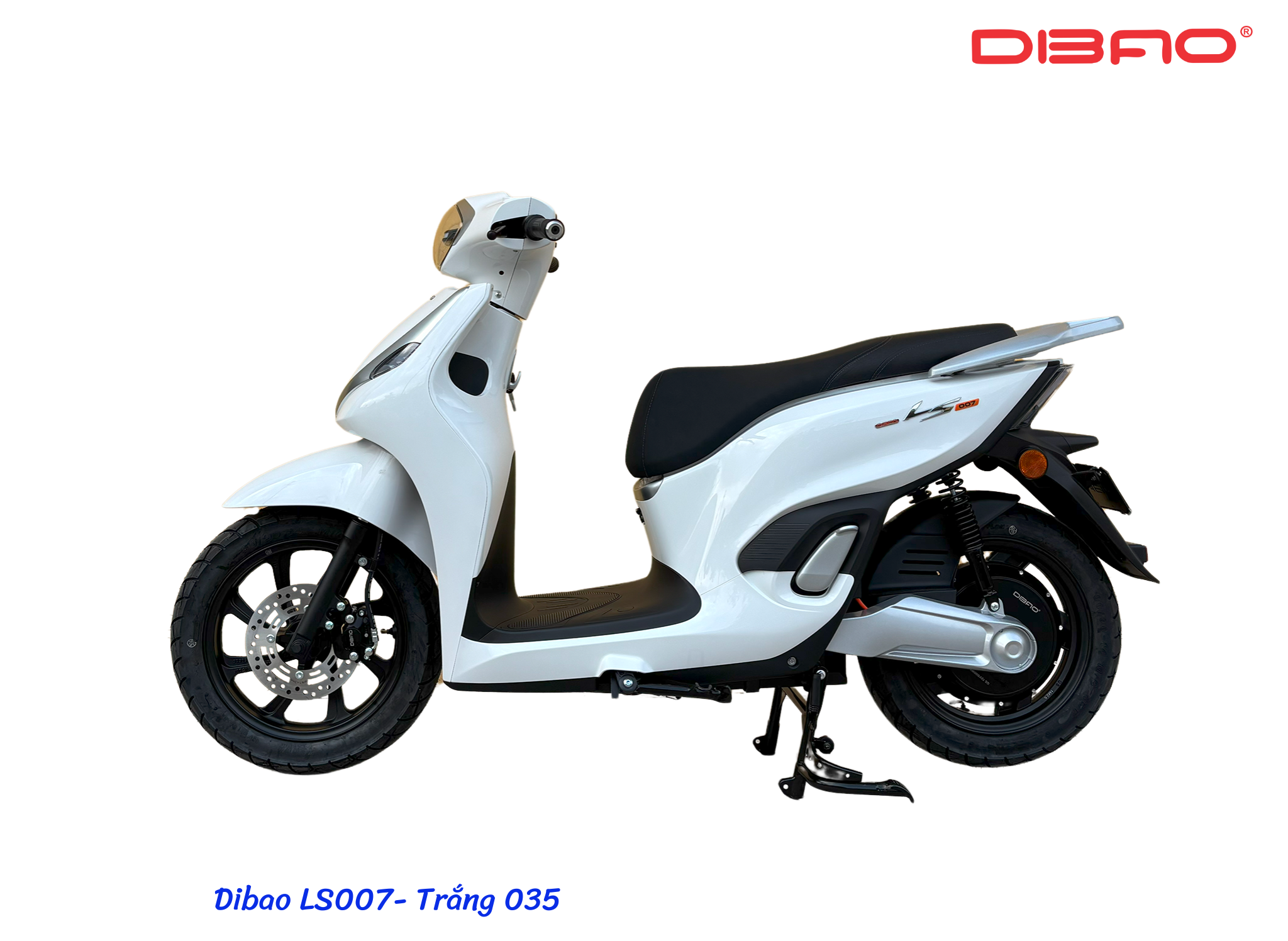 XE MÁY ĐIỆN DIBAO LS007