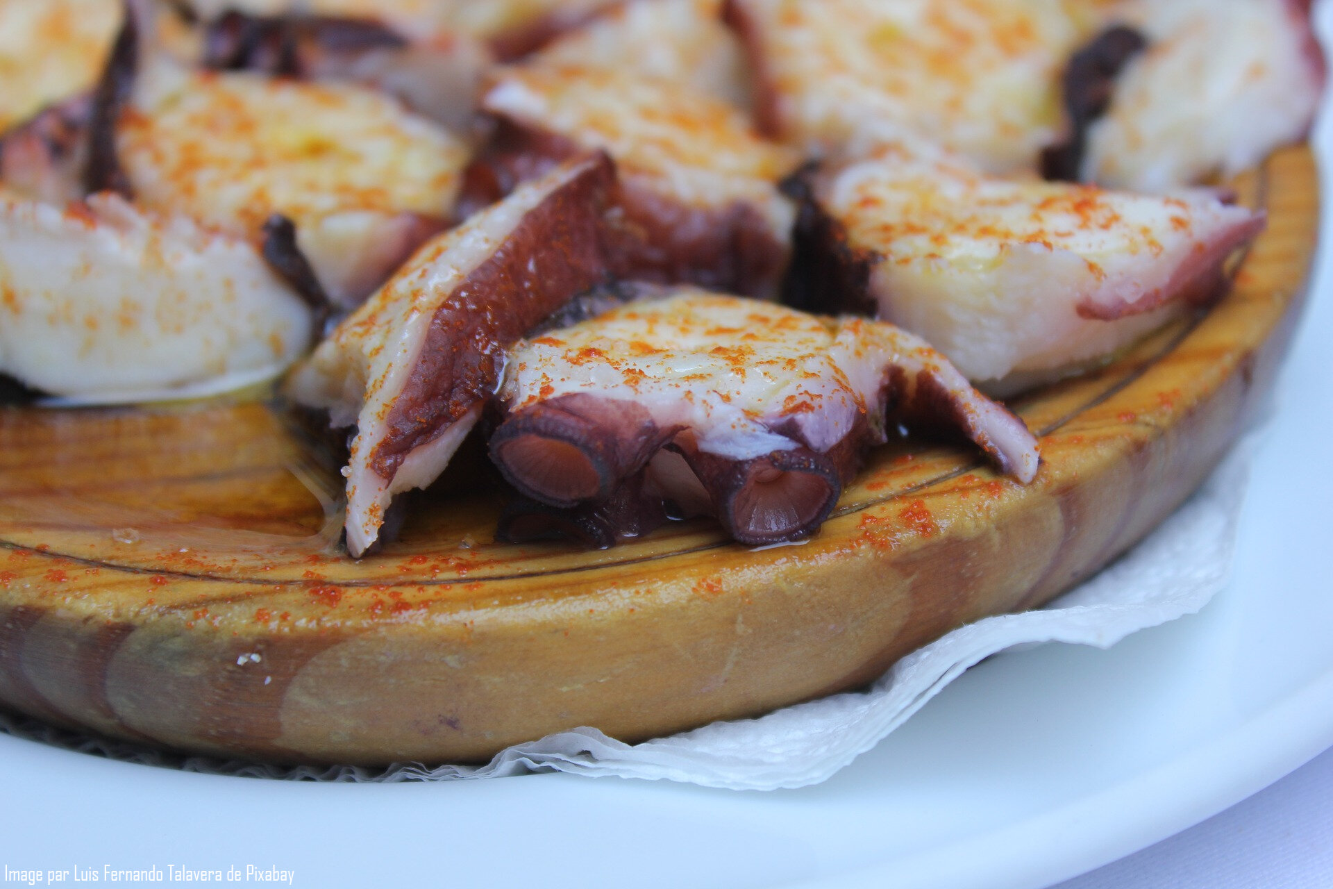 Madagascar Seafood Octopus (Whole, Flower shape, Cut into cubes, Block-frozen, Tentacles, Cut into pieces)