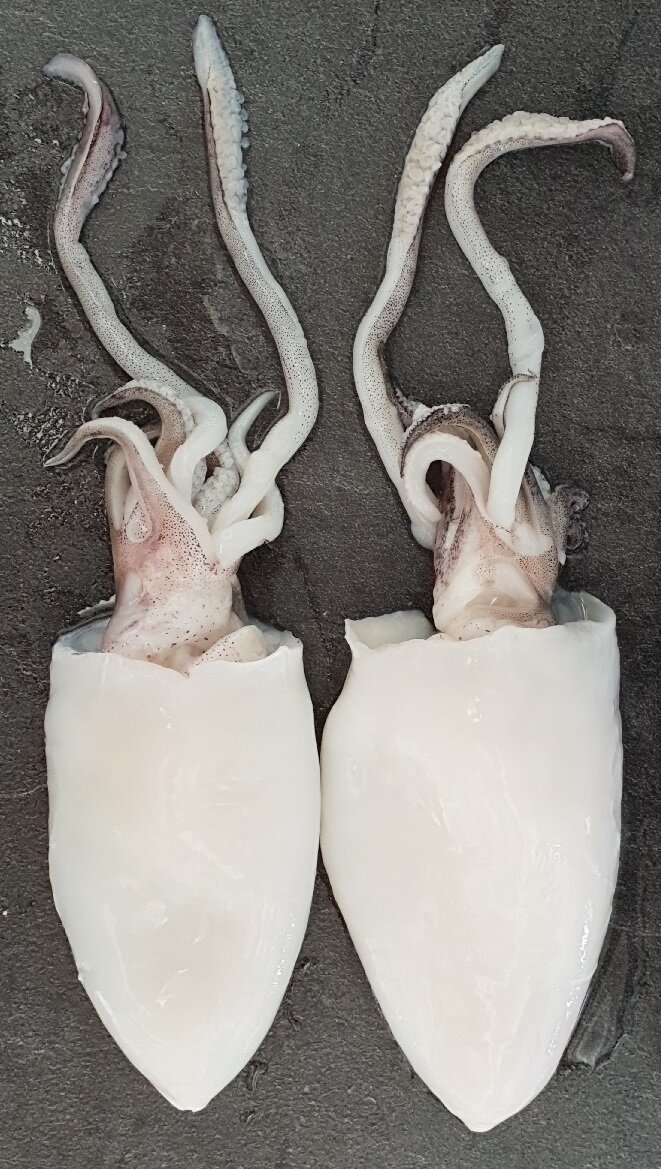 Madagascar Seafood Squid (Whole, Tube, Cleaned with head and tentacles, Rings, Head & tentacles,...