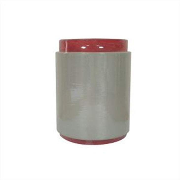 Haining Taierxin New Materials Co., Ltd. White Dyeable Antistatic Yarn