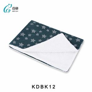 Bestjoy Pet Manufacturer Cotton Pet Bed Blanket Cashmere Teddy