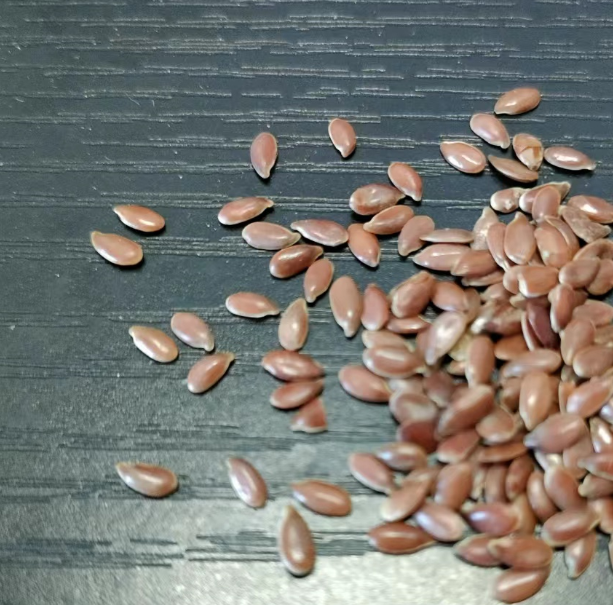 Yangzhou BoFaTe International Trading Co.,Ltd Flax seed for microwavable heating pillows