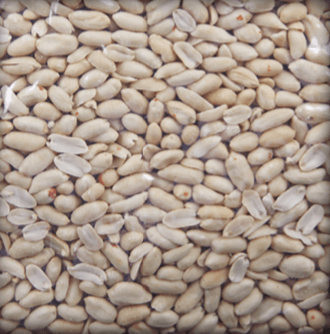 Blanched Peanut 25/29, 29/33
