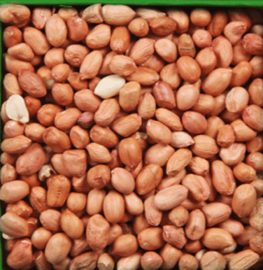 Groundnut Kernel 80/90, 50/60, 60/70 MQ Brand