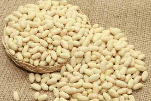 Veerkrupa Global Enterprise Blanched Peanut Kernels