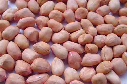 Veerkrupa Global Enterprise Organic Peanut Kernels
