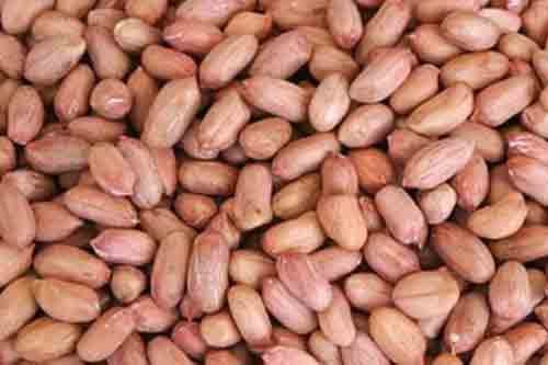 Indian Peanut Kernels