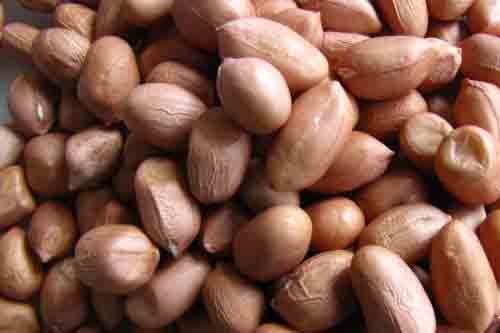 Natural Peanut Kernels