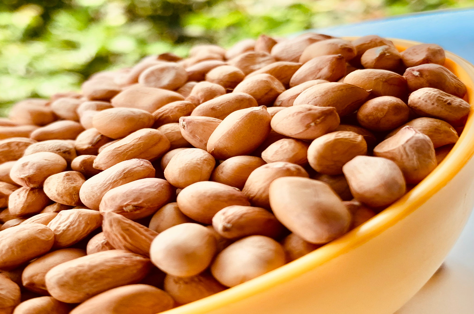 Balaji Trade Link Raw Peanuts – Java and Bold varieties