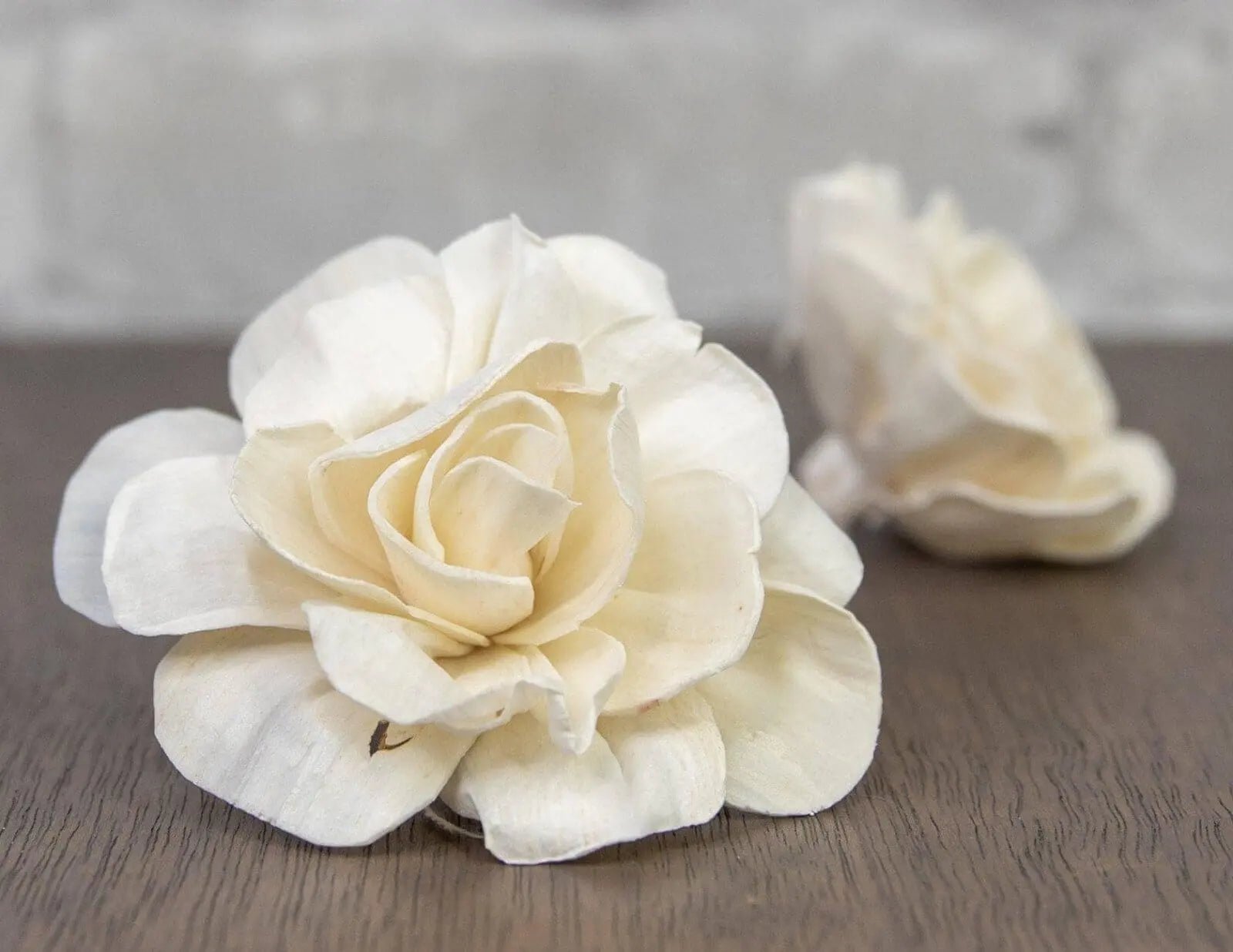 Sola Wood Flowers 2" Belmont Gardenia (10 Pack)