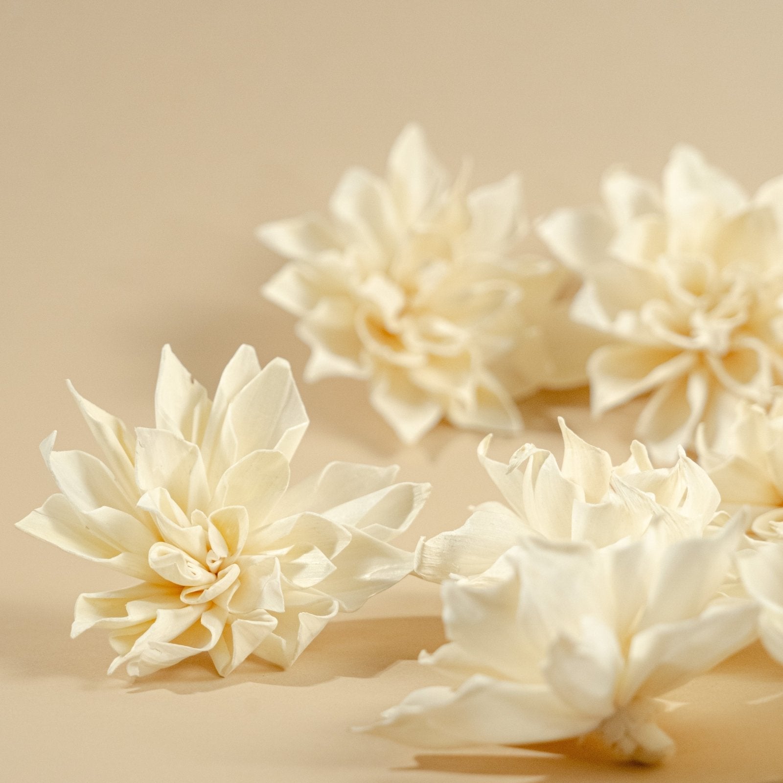 Sola Wood Flowers 4" Labyrinth Dahlia (10 Pack)
