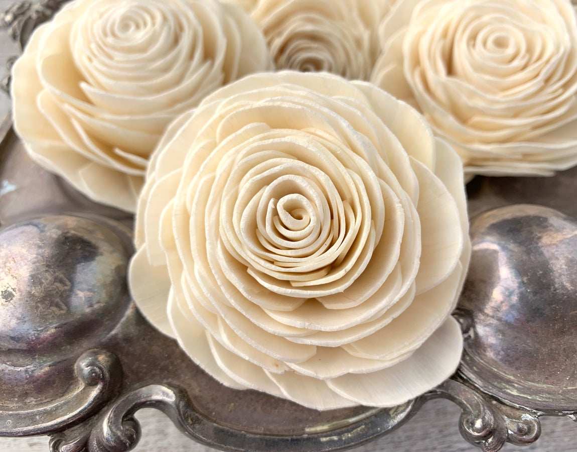 Luv Sola Flowers New Beauty - 50 Pack