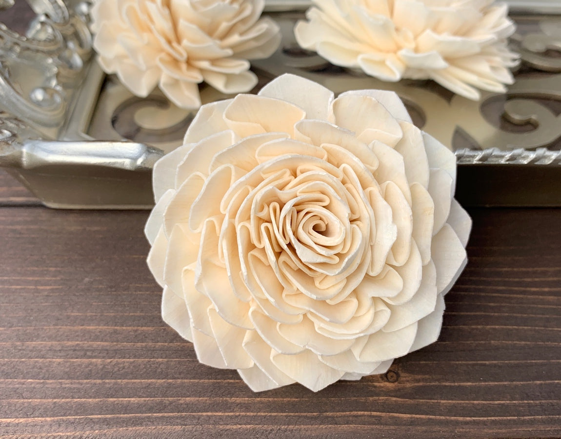 Luv Sola Flowers Dahlia - 50 Pack