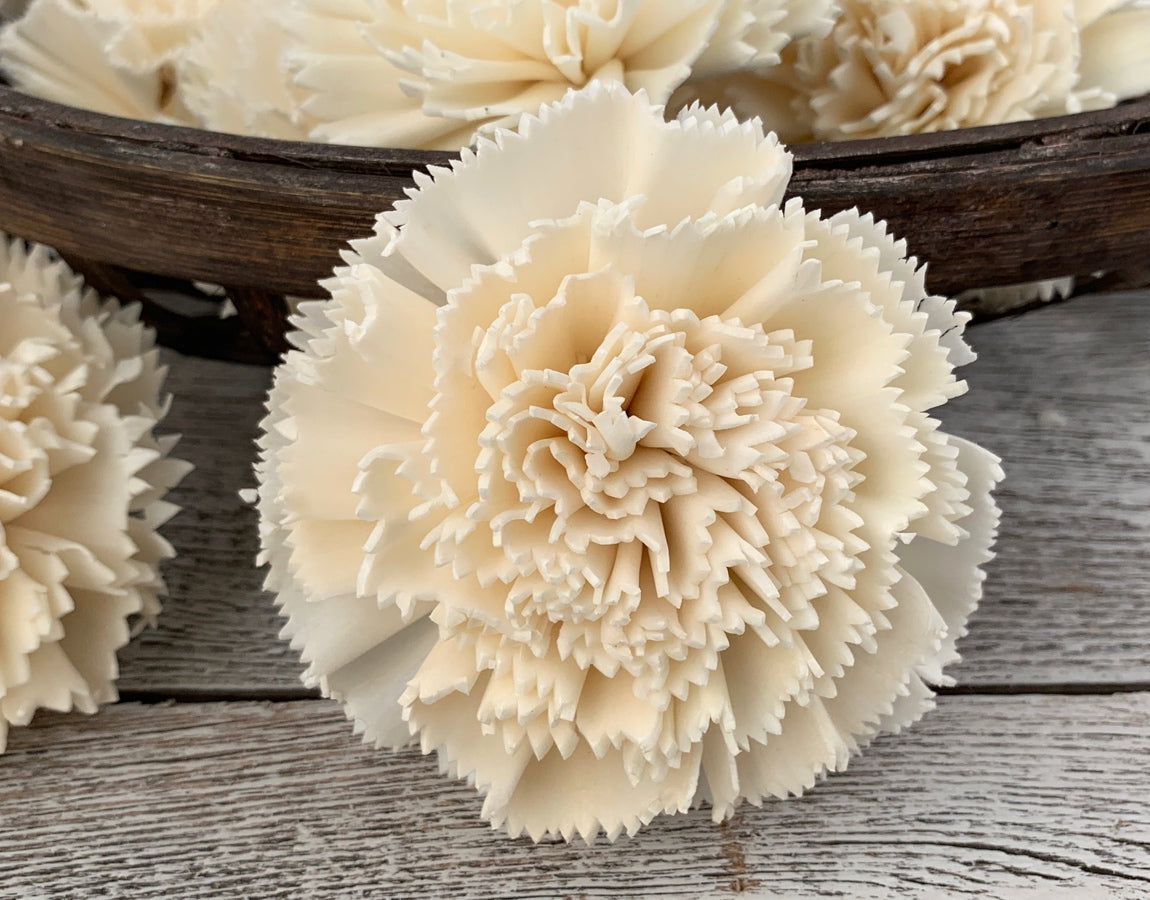 Luv Sola Flowers Carnation - 50 Pack