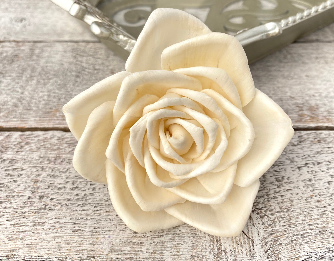 Roma Rose - 50 Pack