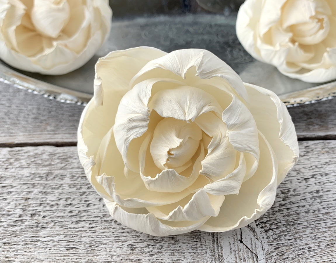 Closed Peony - 50 Pack