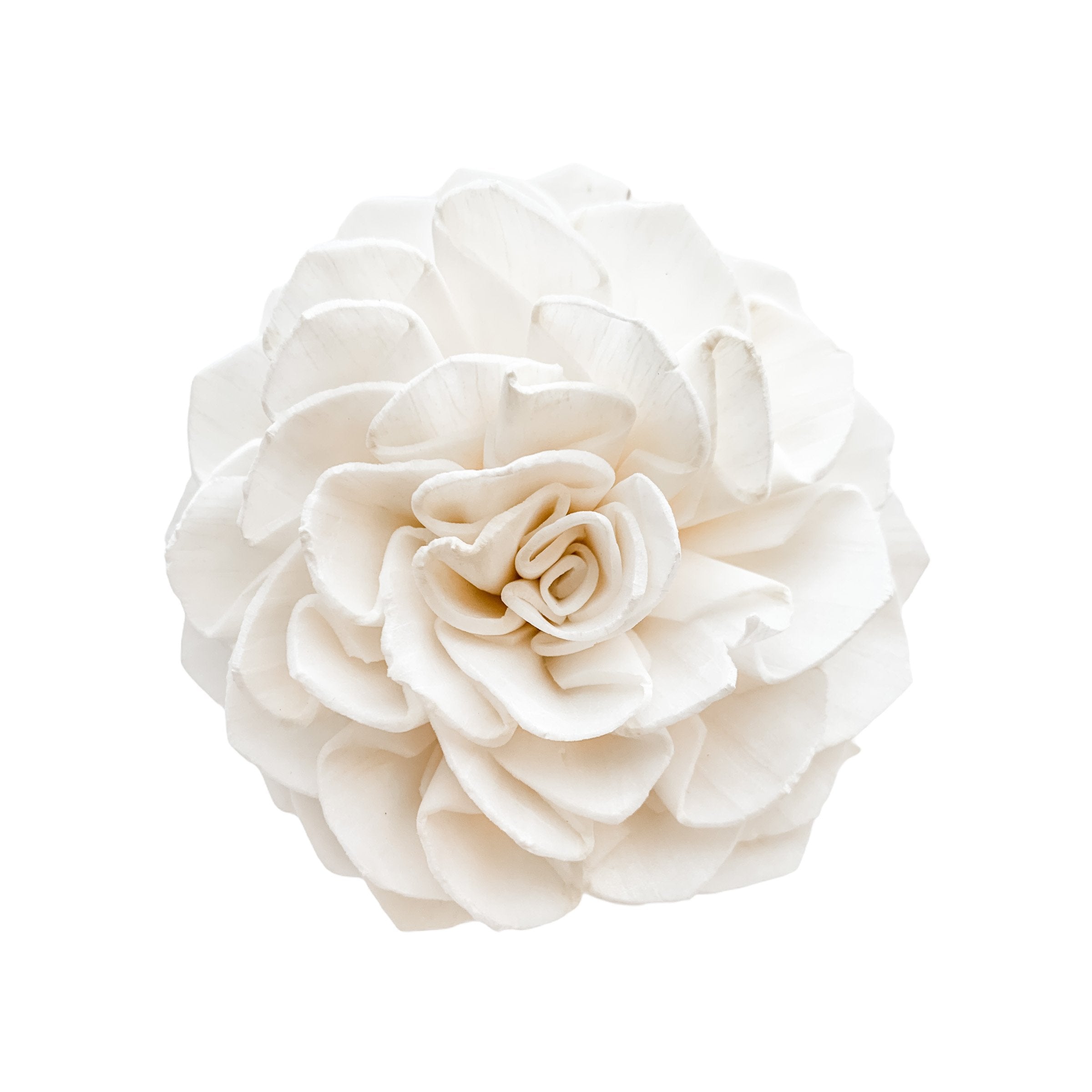 Pine and Petal Weddings Mia Dahlia - 12 Loose Sola Flowers - Approximately 2" to 2.5"