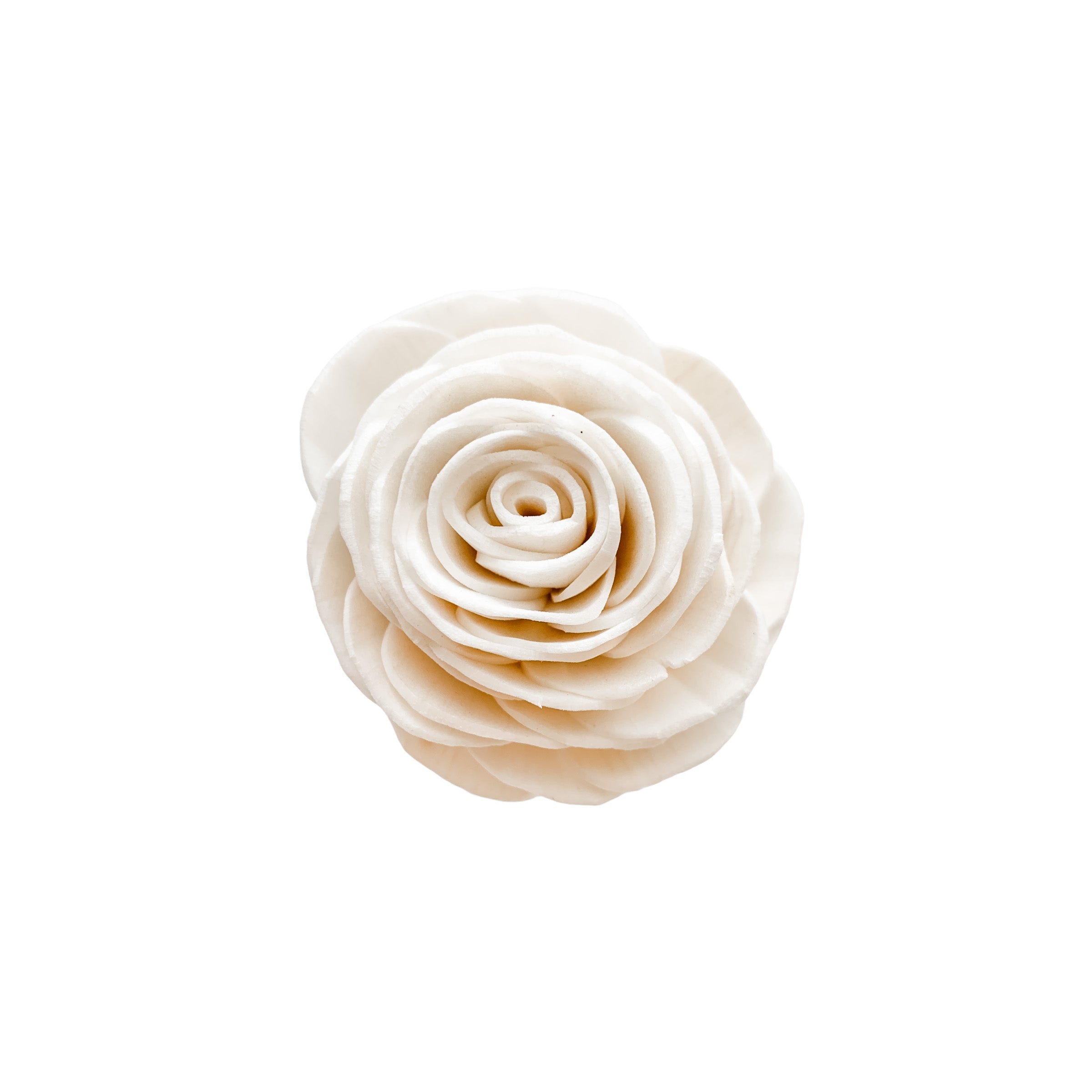 Pine and Petal Weddings Grace Rose - 12 Loose Sola Flowers - Approximately 1"