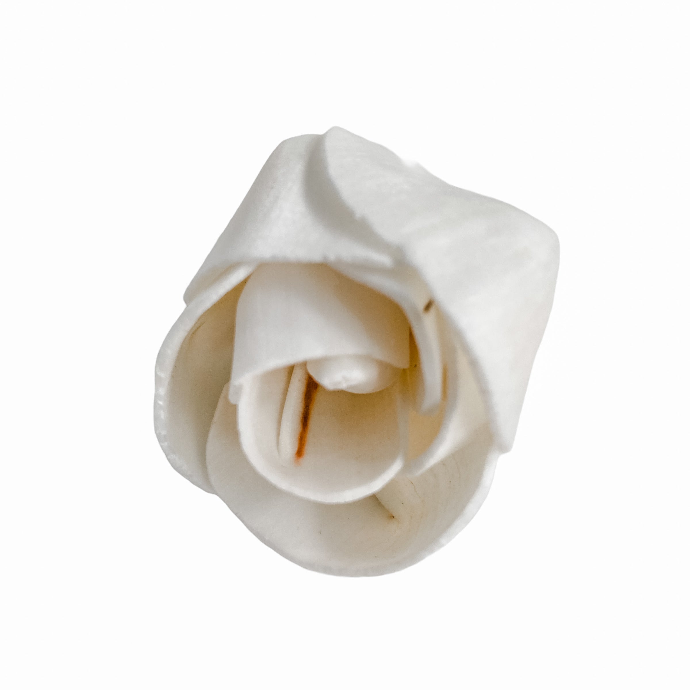 Pine and Petal Weddings Ella - 12 Loose Sola Flowers - Approximately 2" to 2.5"