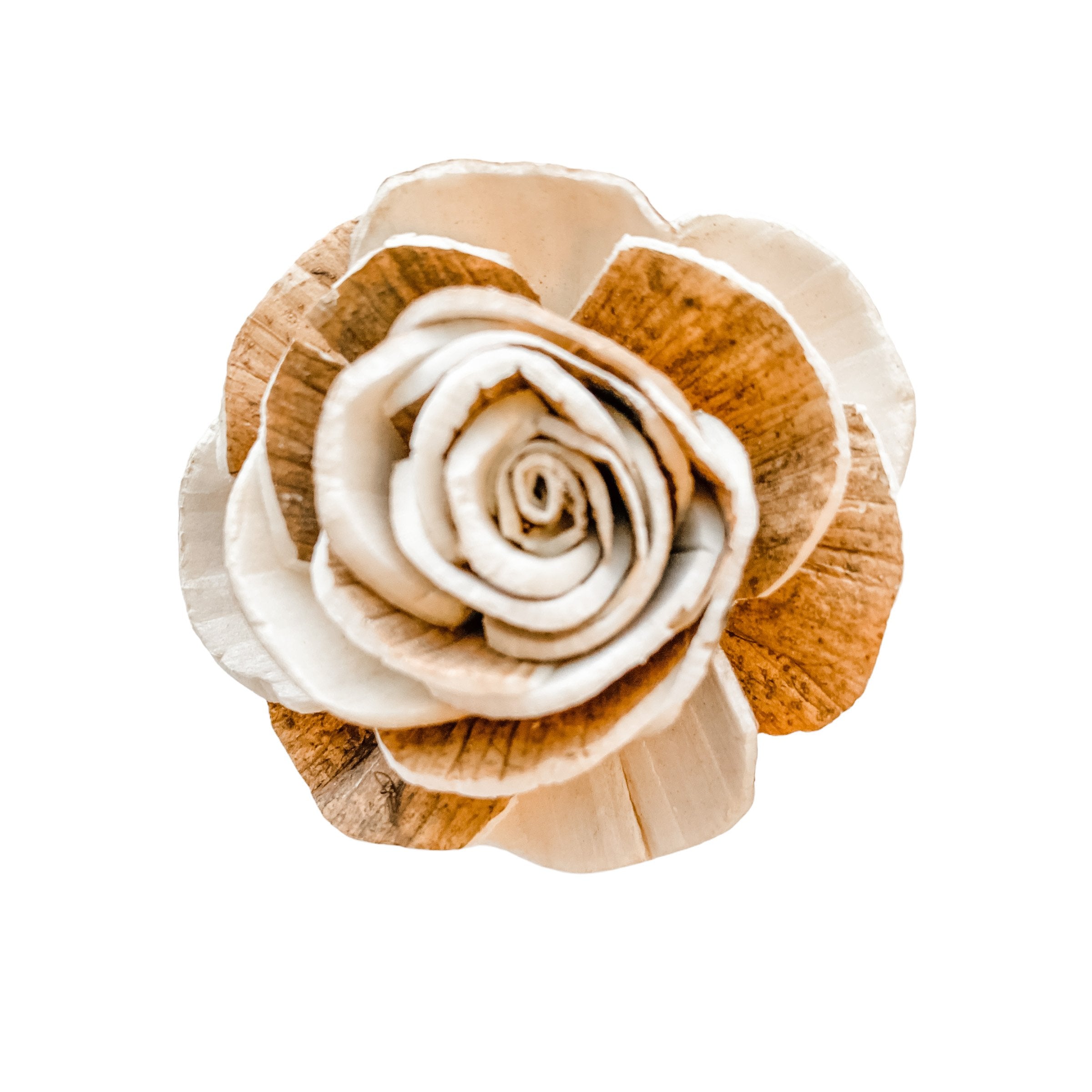 Pine and Petal Weddings Brooklyn - 12 Loose Sola Flowers - Approximately 1"