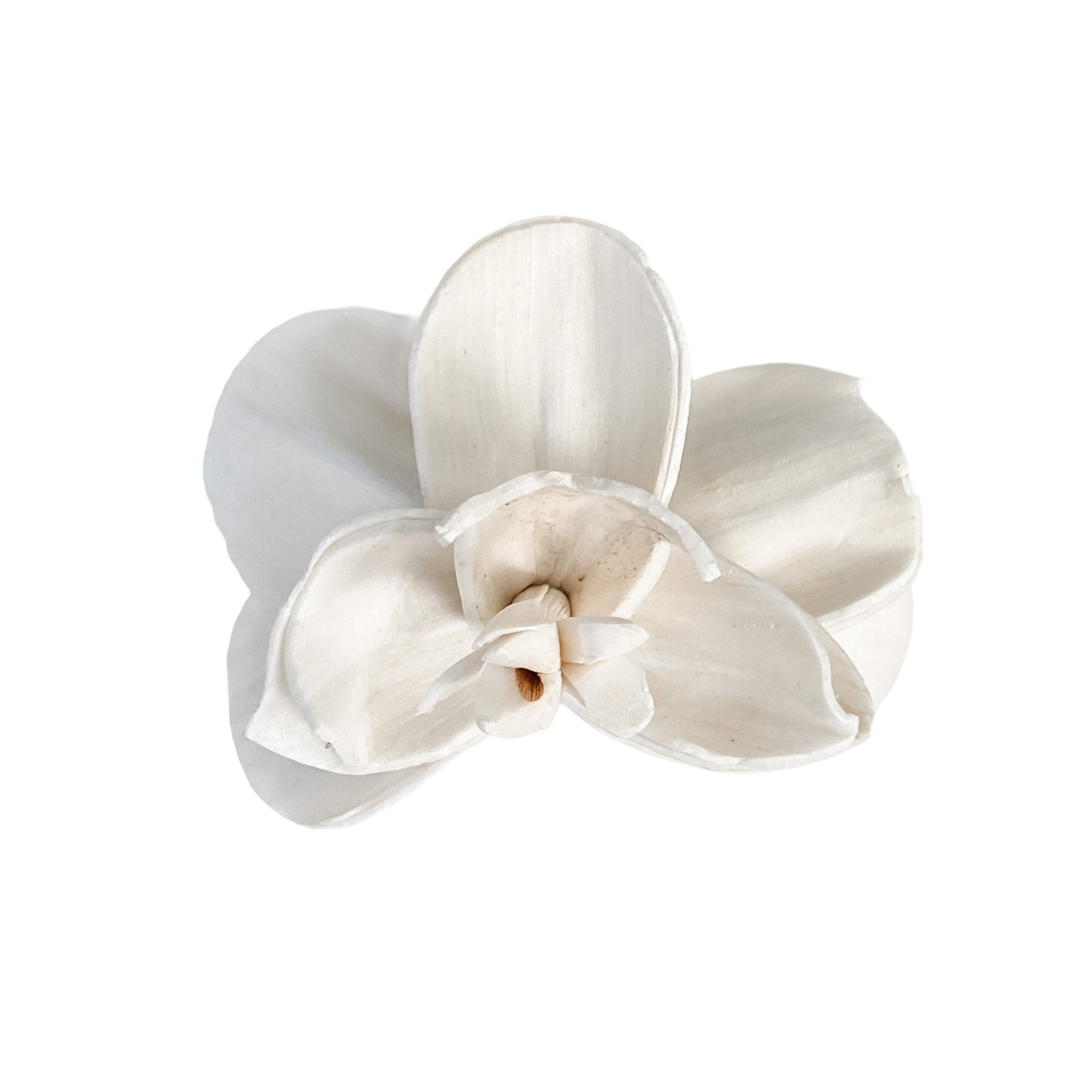 Opal Orchid - 12 Loose Sola Flowers - Approximately 2"