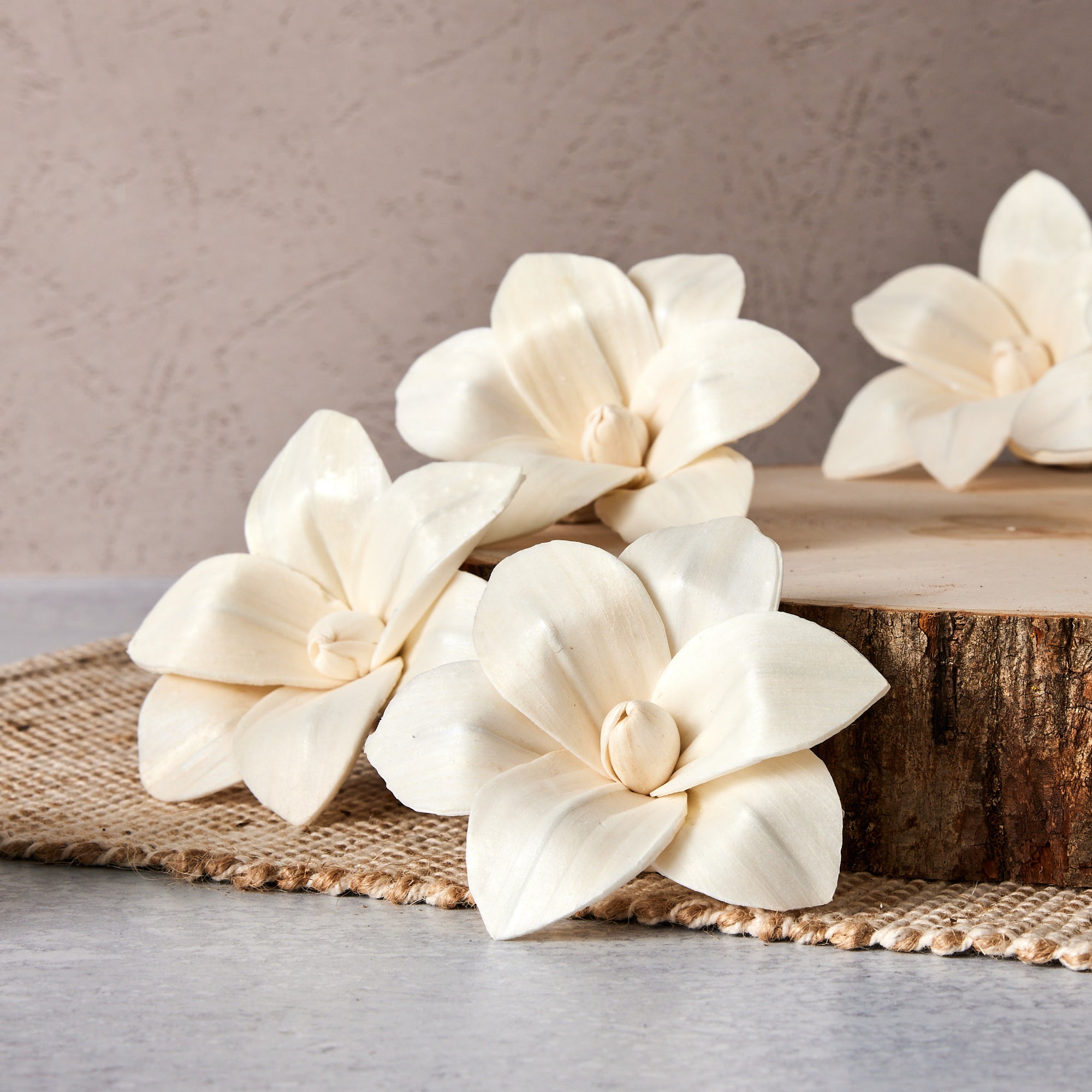 Oh You're Lovely Aloha™ set of 6