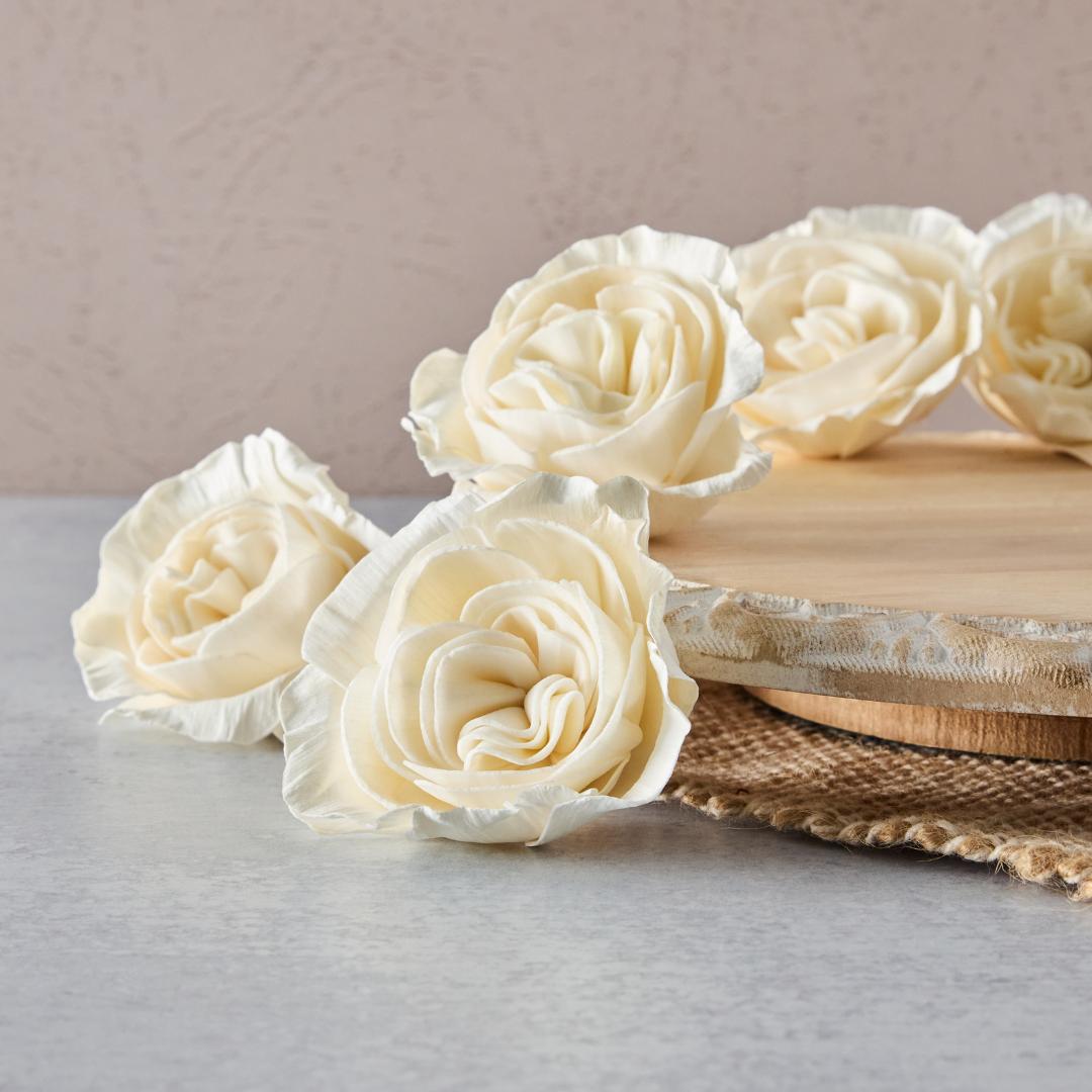 Oh You're Lovely Antique Carnation| 2.5 inches | Set of 12