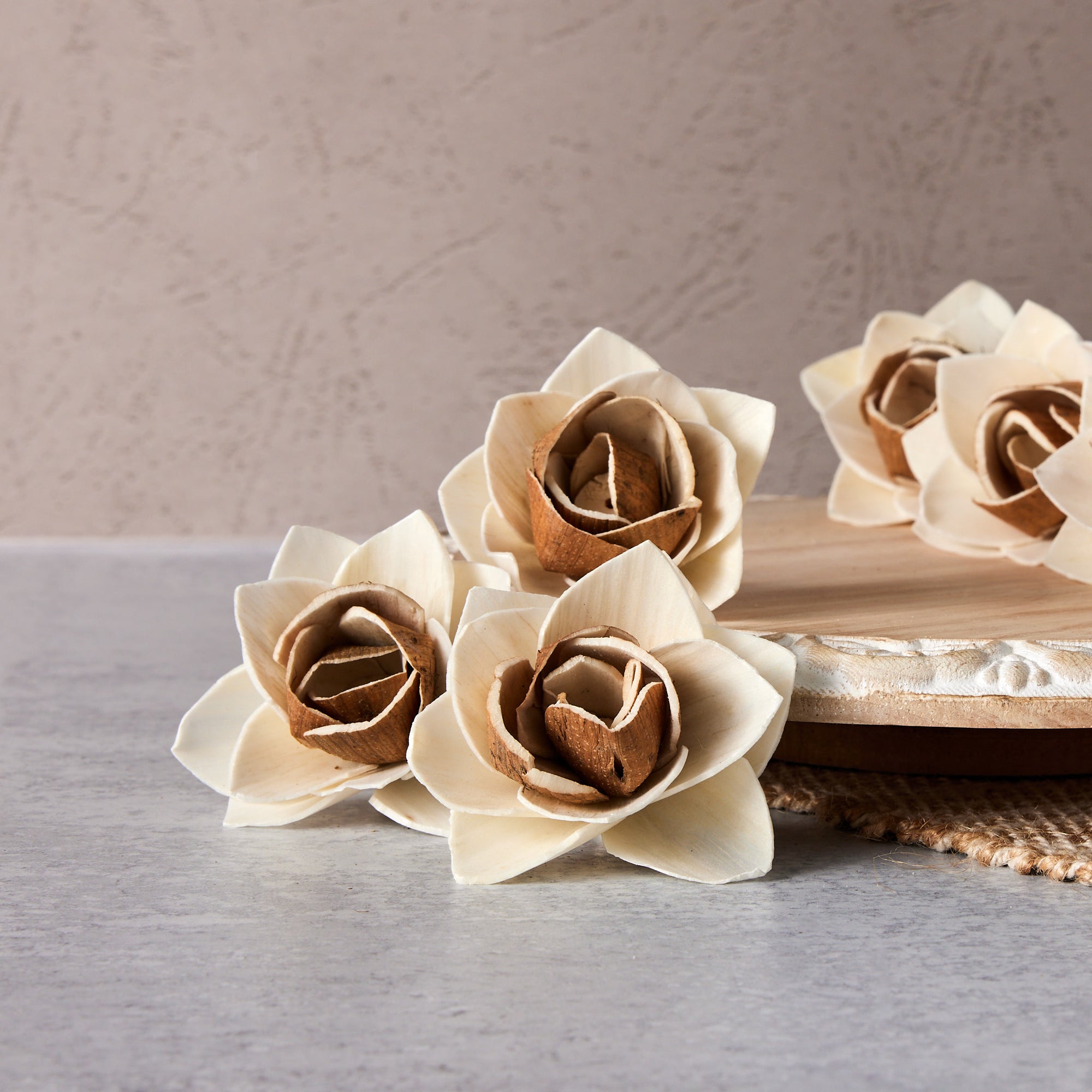 Bark Lotus ™ | set of 12 | 2.5 inches