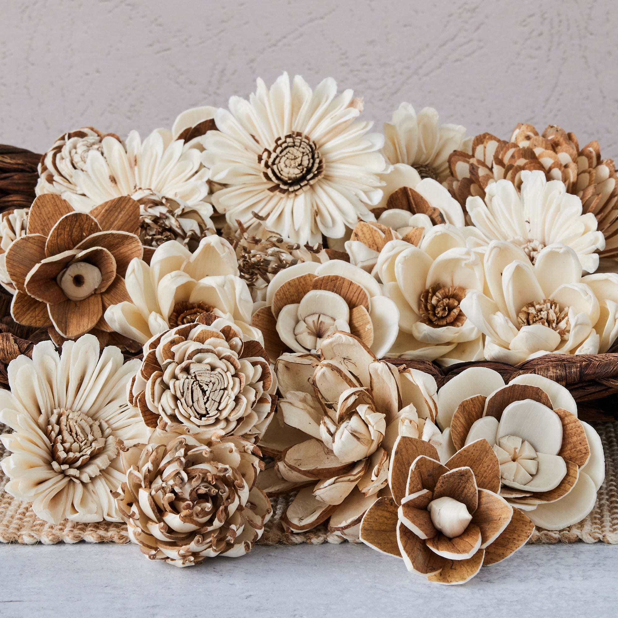 Bark Sola Flower Assortment - set of 50